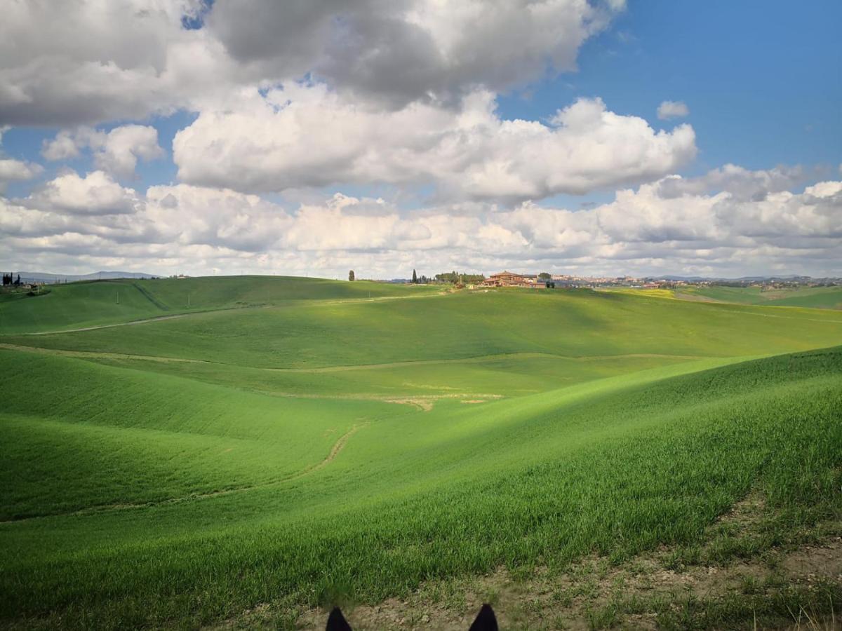 Dago Farmhouse Siena Dış mekan fotoğraf