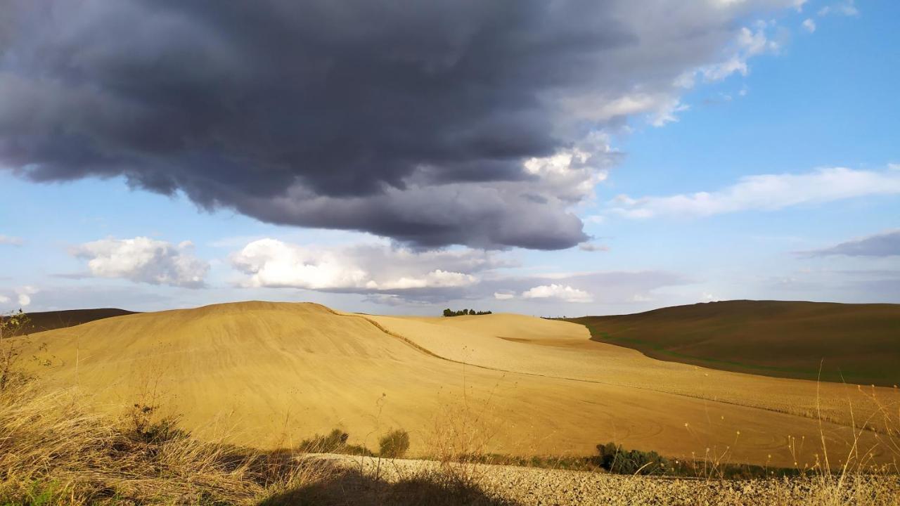 Dago Farmhouse Siena Dış mekan fotoğraf